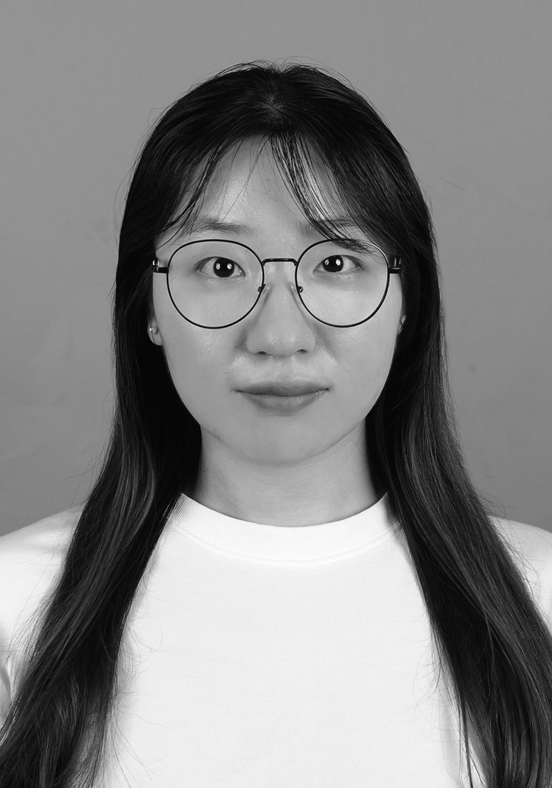 朱菲